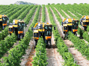 Agriculture