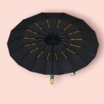 12 Ribs-BMD Umbrella