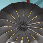 16 Ribs Umbrella(5 ribs per rib)