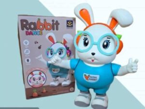  Rabbit Dance Toy