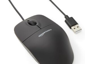 Mouse