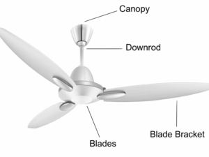Usha Bloom Daffodil 50" Decorative Ceiling Fan 