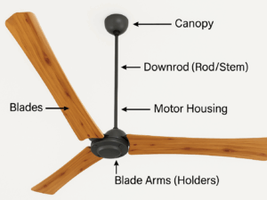 Atomberg Renesa+ 56" Ceiling Fan With Remote