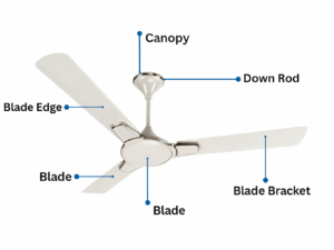 Hindware Magnum Art 56" Ceiling Fan