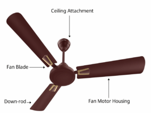Havells Crew Deco 56" Ceiling Fan