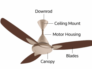Usha Bloom Primrose 50" Decorative Ceiling Fan 