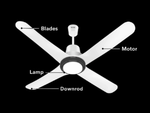 Havells Libeccio BLDC 56" Ceiling Fan With Remote
