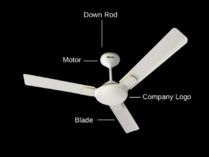Havells Enticer 56" Ceiling Fan (AR 5001)