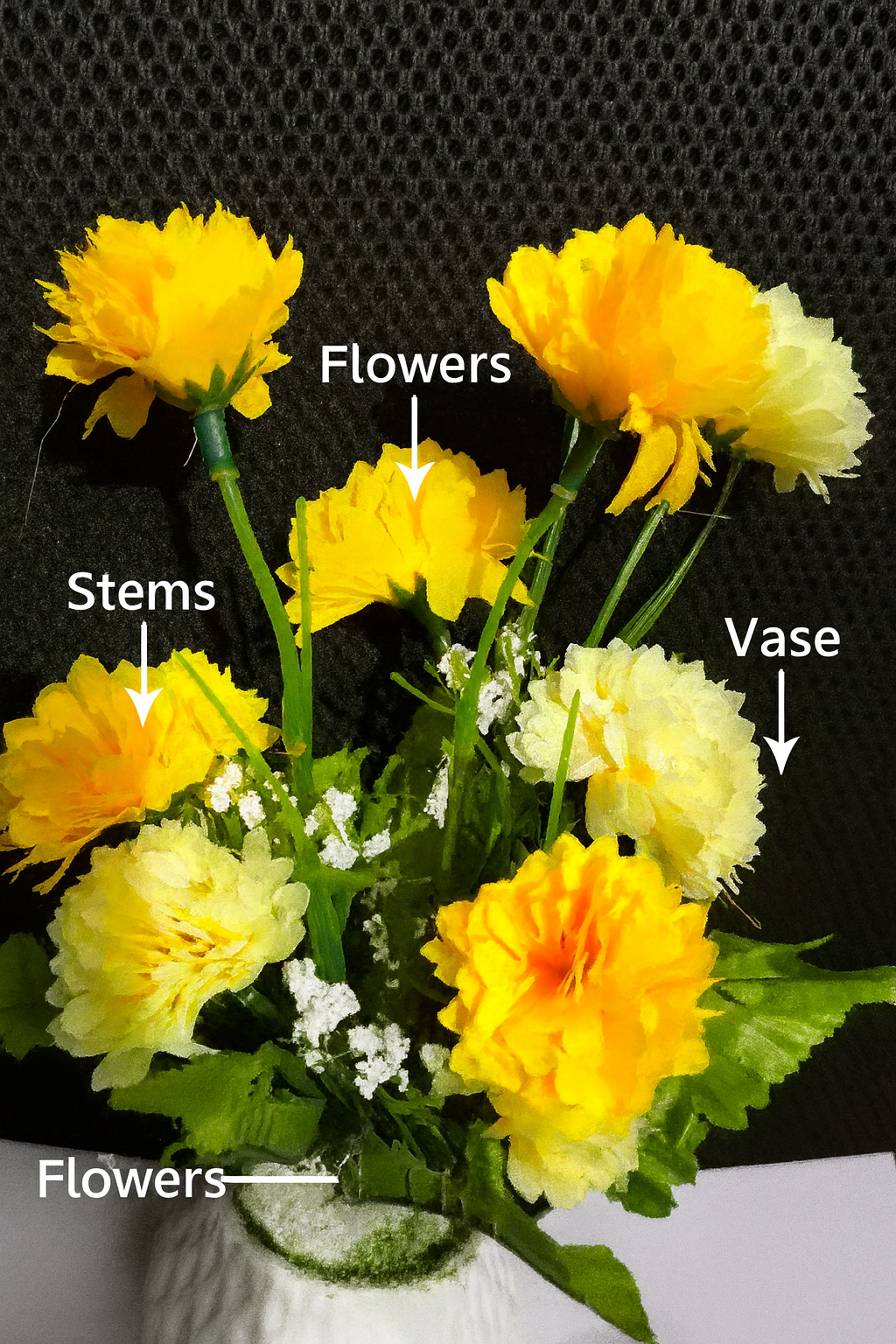 ChatGPT Image Sep 23, 2025, 11_11_01 AM