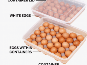 Egg Storage Box – Large Capacity Kitchen Refrigerator Organizer