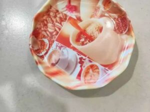 6 Piece Melamine Plate Set