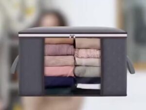Clothes & Blanket Storage Organizer Bag – Winter Wardrobe Solution (22/16 inch)