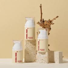 download - 2025-09-18T171706.288