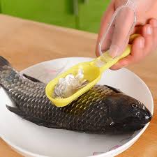 Fish Skin Brush & Scale Scraper