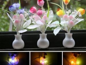 Automatic LED Sensor Mushroom Lamp — Both Side Light — Multi-Color