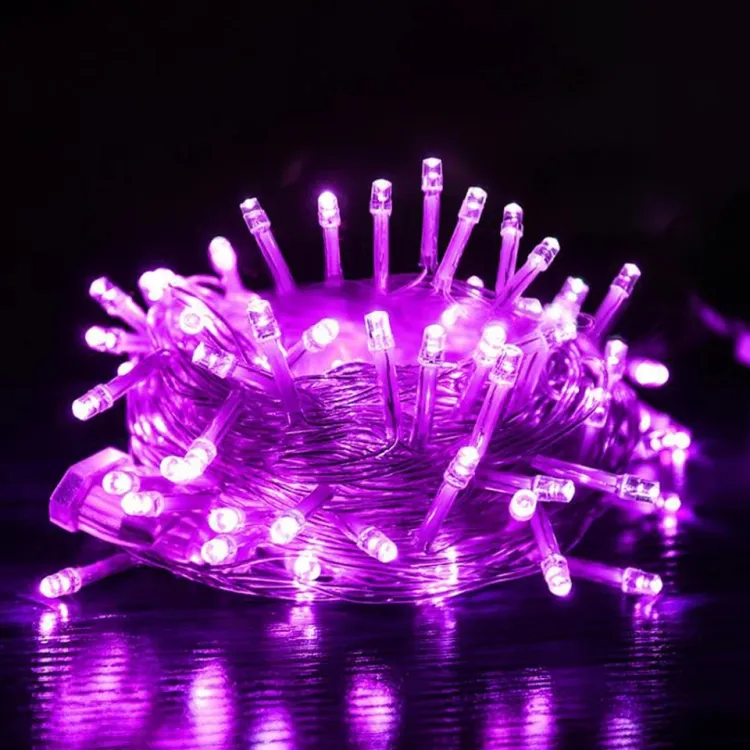0625796_purple-decorative-fairy-lights