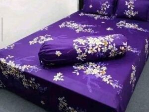 Twill Panel Cotton Double Size Bed Sheet with Two Pillow Covers