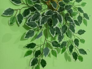 Artificial Leaf – 2 Pieces Mix Multicolor (Green & White) | With Free Hanger | Home & Wall Decoration