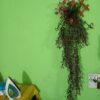 0756499_artifical-flower-exclusive-lota-or-creeper-with-unique-wood-hanger-free-for-unique-wall-decoration