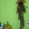 0756501_artifical-flower-exclusive-lota-or-creeper-with-unique-wood-hanger-free-for-unique-wall-decoration
