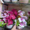 0758943_atrificial-flower-in-unique-orchid-with-top-for-room-decoration