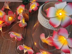 Decorative Katgolap String / Fairy Lights – Unique Model for Room Decoration