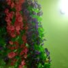 0759033_artifical-plant-plastic-1-pisces-unique-hanging-flower-for-home-decor
