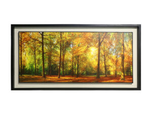 Wooden Photo Frame / Canvas – Forest (41x21 inch)