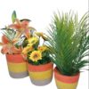 0770669_3-piece-set-plant-basket
