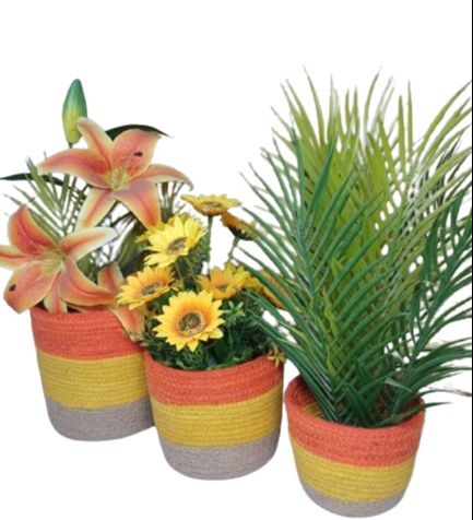 0770669_3-piece-set-plant-basket