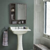 0852932_simple-mirror-cabinet-storage-showcase-rack-organizer-for-dinning-bathroom