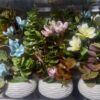 0857402_unique-artificial-orchid-flower-3-colour-are-available-like-given-the-photo
