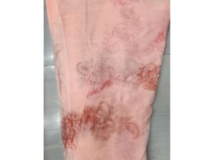 Mosquito Net – Double Size From Golden Plus