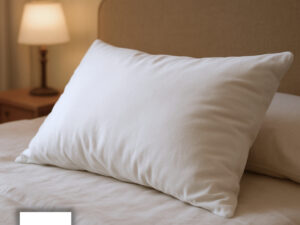 Allora Micro Fiber Head Pillow 18″ x 24″
