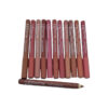 1191354_flormar-rouge-12-colors-wood-lip-pencil-set-with-bannerscap12pcs