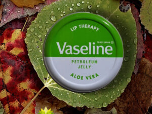 Vaseline Lip Therapy – Aloe