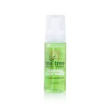 Tea Tree Foaming Face Wash – 200ml (UK)