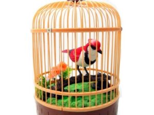 Bird Cage With Bird Toys