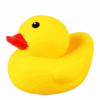 0346213_playtime-big-duck.jpeg