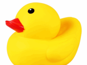 Playtime Big Duck Toy