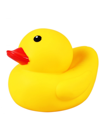 0346213_playtime-big-duck.jpeg