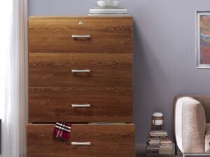 Regal Harper Laminated Board Chest of Drawer – Antique