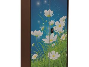 Regal Household Almirah – Popular Choco Cosmos