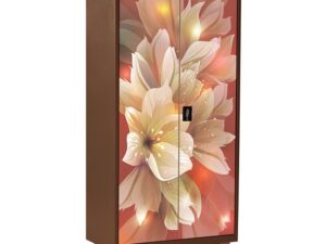 Regal Household Almirah – Popular Choco Twilight Rose