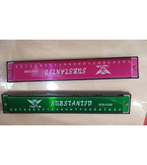 0383257_48-hole-harmonica-key-of-c-mouth-metal-organ-for-beginners