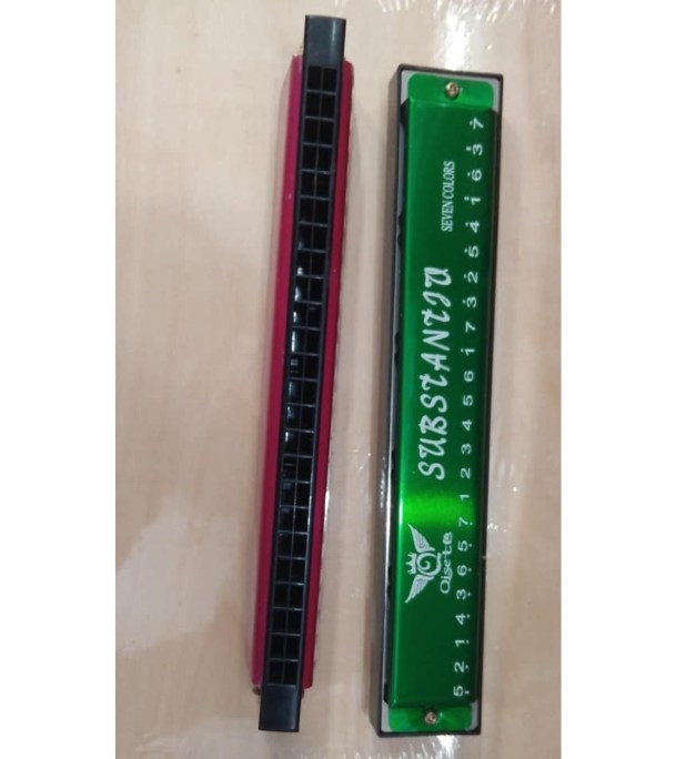 0383258_48-hole-harmonica-key-of-c-mouth-metal-organ-for-beginners