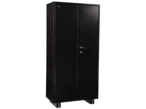 Regal Office Almirah – AEO-201-2-1-66