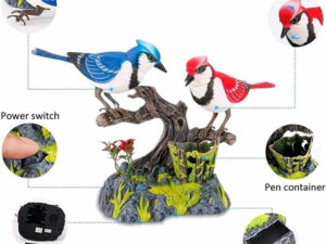 Singing & Chirping Bird Decorative Showpiece – Realistic Sound Bird