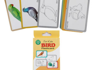 Birds Flash Cards