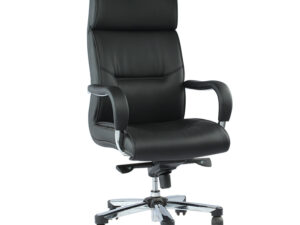 Regal Office Chair Swivel CSC-249-6-1-66